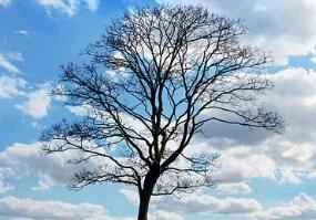 9 loại mặt nạ mắt giúp tạm biệt quầng thâm mắt