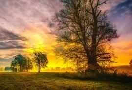 Tận hưởng vẻ đẹp của làn da tự nhiên bằng cách tự làm mặt nạ ngũ cốc.