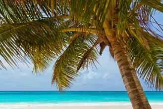 Mặt nạ phù hợp cho da khô