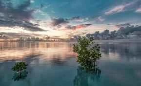 Những gợi ý sữa rửa mặt tốt nhất dành cho bạn