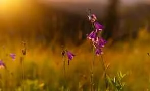 Sản phẩm chăm sóc da phù hợp cho da nhạy cảm vào mùa đông