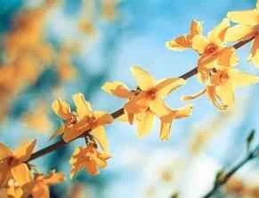 Loại dung dịch trị mụn đầu đen nào tốt nhất?