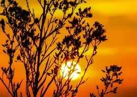 Công thức mặt nạ phục hồi da sau khi tiếp xúc với ánh nắng mặt trời tại nhà