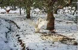 5 cách xóa tàn nhang bằng Vitamin E