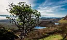 Làm thế nào để chọn phương pháp dưỡng ẩm phù hợp?