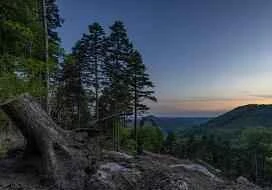 Top 10 sản phẩm chăm sóc da chống lão hóa hiệu quả nhất