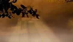 Loại mặt nạ dưỡng ẩm nào tốt nhất? Các loại mặt nạ dưỡng ẩm phổ biến và đánh giá của người dùng.