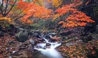 Cách làm mặt nạ làm trắng da để đạt hiệu quả tốt nhất?