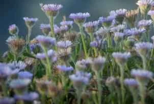 Năm loại kem dưỡng da chất lượng cao, giá cả phải chăng