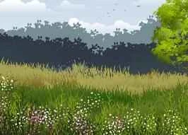 Phụ nữ trên 25 tuổi nên sử dụng kết hợp nhiều loại kem dưỡng mắt.