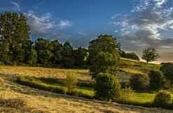 Chống lão hóa và giữ gìn tuổi trẻ bắt đầu từ chế độ ăn uống