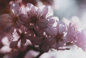 Mặt nạ dưỡng ẩm mang lại những lợi ích gì?