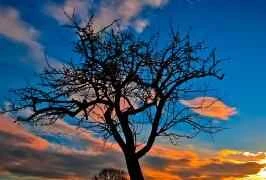 Các chuyên gia làm đẹp sẽ hướng dẫn bạn cách tự làm mặt nạ làm trắng da.