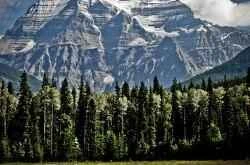 Làm thế nào để tránh mua phải mỹ phẩm không đạt tiêu chuẩn an toàn? Đây là những điều bạn cần biết.