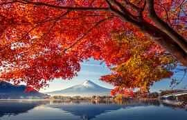 4 lỗi thường gặp khi sử dụng mặt nạ ngủ có thể gây hại nghiêm trọng cho làn da của bạn.