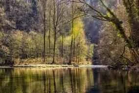 Top 10 loại gel dưỡng mắt được yêu thích nhất mùa hè này