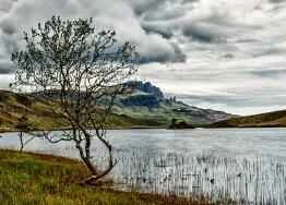 Ngay cả sữa rửa mặt hết hạn cũng vẫn có thể sử dụng được – các chuyên gia làm đẹp sẽ hướng dẫn bạn cách dự trữ một cách thông minh.