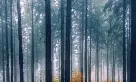 Kem dưỡng da tay Neutrogena được biểu tượng sắc đẹp Barbie Hsu (Da S) đánh giá cao và khuyên dùng.