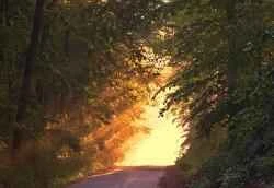 Các sản phẩm làm trắng da hàng đầu giúp da trắng sáng tức thì.