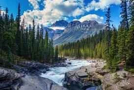 Những phương pháp rửa mặt nào nên tránh?