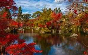 8 sản phẩm được đánh giá cao giúp giảm mẩn đỏ