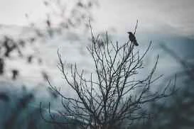 Những gợi ý kem dưỡng da tay độc đáo nhưng vô cùng hiệu quả