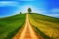 Những loại kem dưỡng mắt trị quầng thâm tốt nhất năm 2009