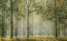 Các loại da khác nhau nên chọn các loại mặt nạ khác nhau.