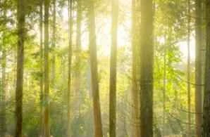 10 sản phẩm được khuyên dùng để giảm ngứa cho da nhạy cảm