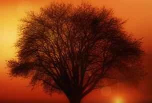 Kem chống nắng phù hợp cho da nhạy cảm