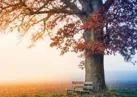 Những sản phẩm trị mụn hàng đầu được phụ nữ ưa chuộng năm 2009