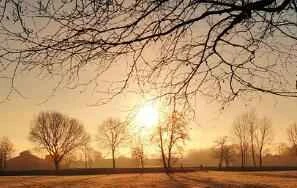 Gợi ý: 4 loại sữa rửa mặt giúp bạn sở hữu khuôn mặt V-shape trong mùa hè này